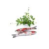 Pond Netting H20 Invisible Mesh by Pavo 12x10.6in-3