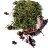No Rake Net HDPE Leaf Collection Reusable Lawn Netting-2