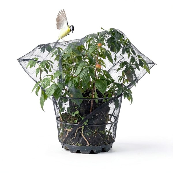 AKIT Pond Netting HDPE Protection for Fish and Ponds-7
