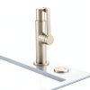 Kraus Air Switch Button Bronze Garbage Disposal-1