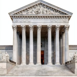 Judicial System Guide by Basic Books Kindle eBook 369-Page Legal-0